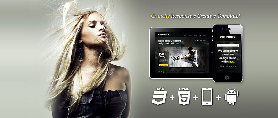 Web漏洞扫描工具